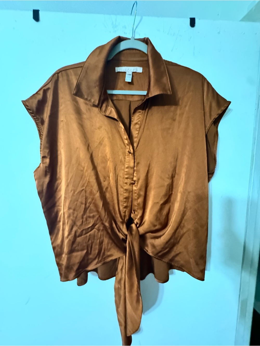 Women's  Hutch (Anthropologie) Satin Tie-Front Top in Brown